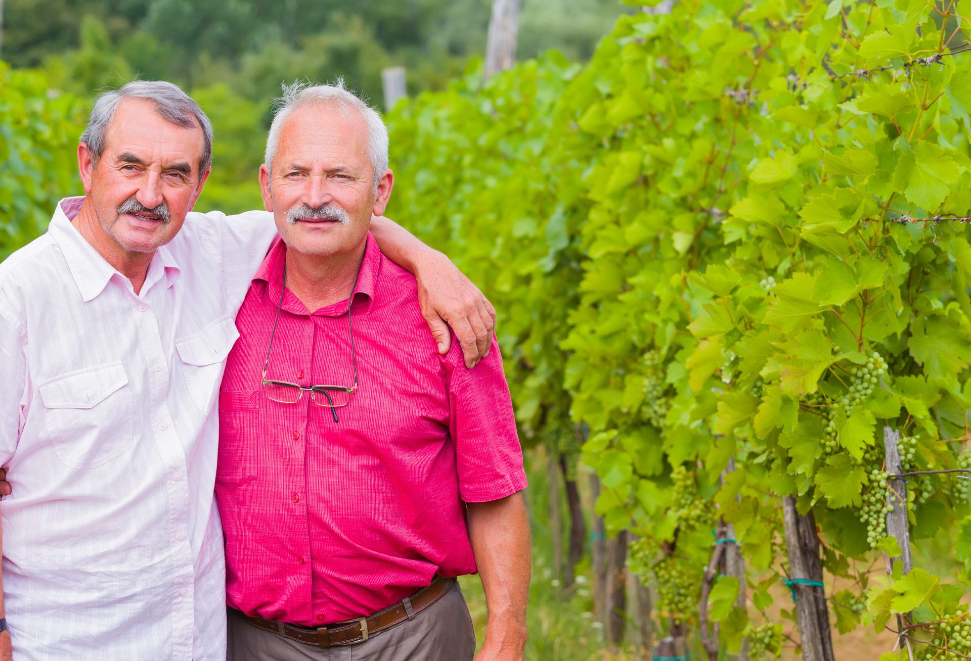 Two older men posing in front of a winery field